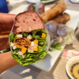 Spring Rolls