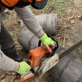 Trim 4 Less Tree Service - Trim4lesstreeservice.com
Trimming for SPORT
CALL TODAY
(contact info removed)
Let's get to it! - Tree Services Near Me Trim 4 Less Tree Service - Trim4lesstreeservice.com
Trimming for SPORT
CALL TODAY
(contact info removed)
Let's get to it! - Tree Services Near Me