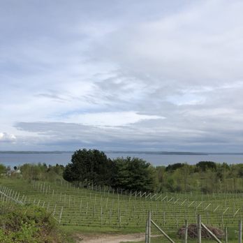 Willow Winery & Vineyard - The view - Wineries Near Me - Suttons Bay, Michigan Willow Winery & Vineyard - The view - Wineries Near Me - Suttons Bay, Michigan