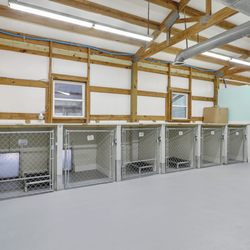 Happy Wags - Spacious dog suites