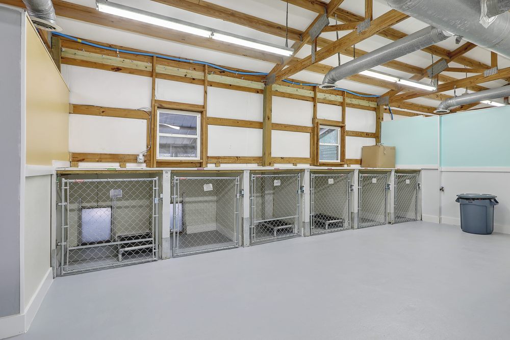 Happy Wags - pet boarding facility in Johns Island, SC