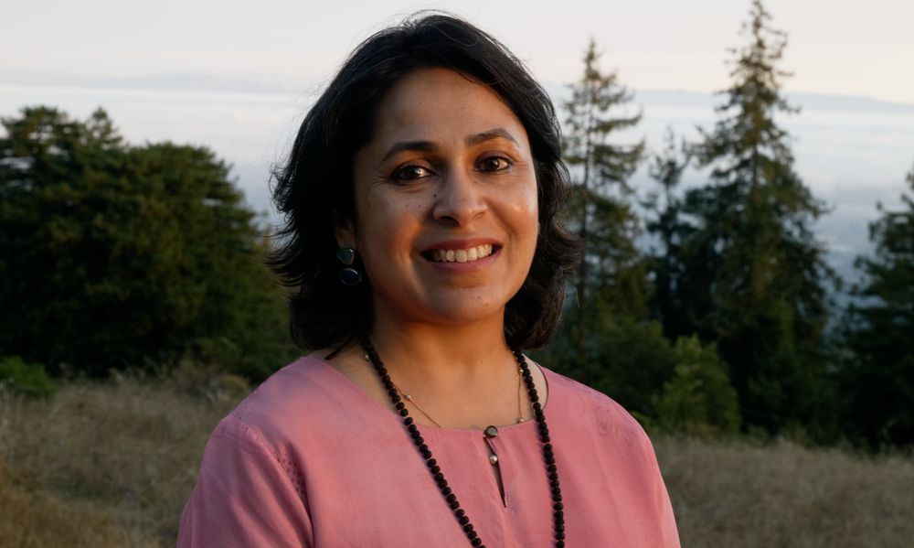 Ayuwise Ayurvedic Counseling - grief counselor in Santa Clara, CA