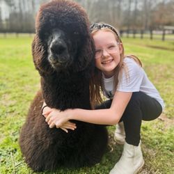 Lost Mountain Alpaca Ranch - Birthday girl!