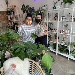 Variegated Vines - Cassie Leung and Vanessa Vandervort