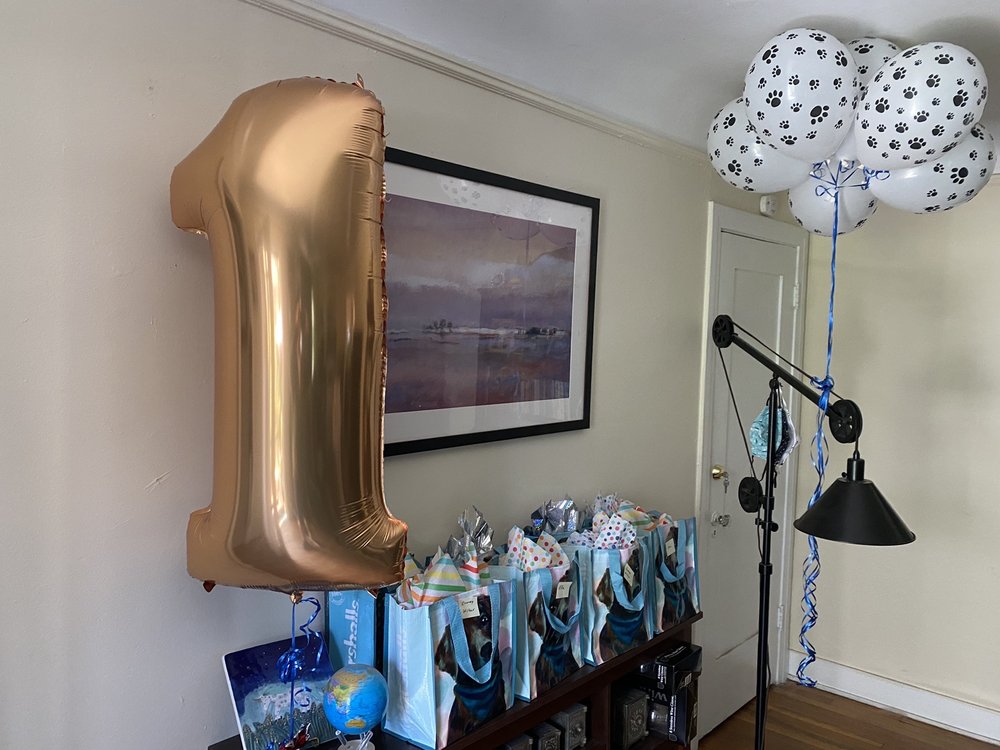 VINEAMERICAN PARTY STORE 120 Photos & 162 Reviews Party Supplies