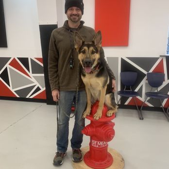 Sit Means Sit - Pet Training Near Me - Casper, Wyoming Sit Means Sit - Pet Training Near Me - Casper, Wyoming