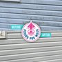 Squids Pro Wash