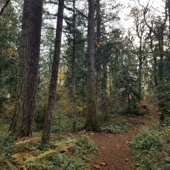 Gnomes Trail - A path in the wood - Hiking Near Me - Maple Valley, Washington Gnomes Trail - A path in the wood - Hiking Near Me - Maple Valley, Washington