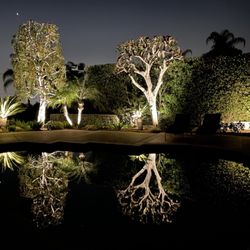 WyreDreams - Landscape lighting designed and installed by WyreDreams.