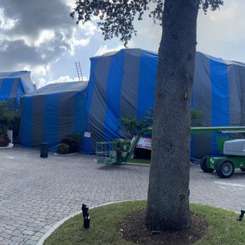 The PEST Group - Pest Control Near Me - Cutler Bay, Florida The PEST Group - Pest Control Near Me - Cutler Bay, Florida