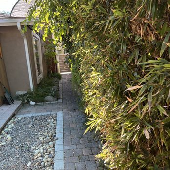Red Planet Tree And Landscape Services - Before - Landscaping Near Me Red Planet Tree And Landscape Services - Before - Landscaping Near Me