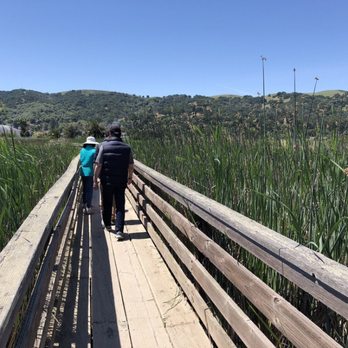 Radke Martinez Regional Shoreline - Parks Near Me - Martinez, California Radke Martinez Regional Shoreline - Parks Near Me - Martinez, California