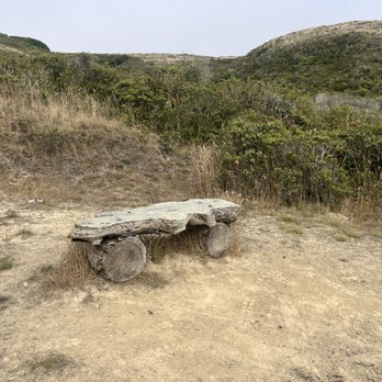 Estero Trail - Bench at end of Sunset Trail. - Hiking Near Me - Point Reyes Station, California Estero Trail - Bench at end of Sunset Trail. - Hiking Near Me - Point Reyes Station, California