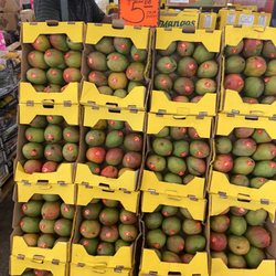 Fresh Produce Market