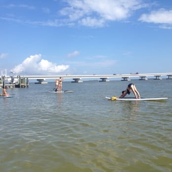 Ace Performer - Yoga anyone? - Sporting Goods Near Me - Ft Myers, Florida