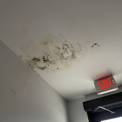 Mold.
