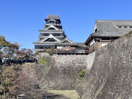 Kumamoto Castle by null