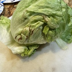 King's County Market - Just bought this at county market in St France's no way they inspected this lettuce.