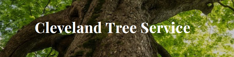 Cleveland Tree Service - tree service in Cleveland, OH