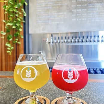 Pure Project - Vista - Tropical Mist & Year of the Guava Dragon beers - Brewpubs Near Me - Vista, California Pure Project - Vista - Tropical Mist & Year of the Guava Dragon beers - Brewpubs Near Me - Vista, California