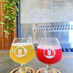 Pure Project - Vista - Tropical Mist  & Year of the Guava Dragon beers