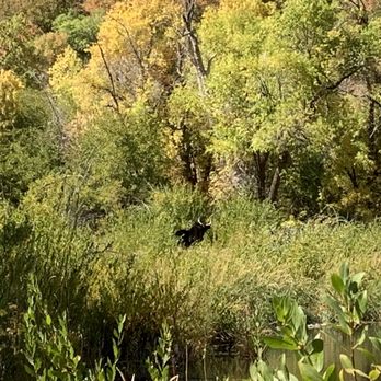 South Fork Park - Parks Near Me - Provo, Utah South Fork Park - Parks Near Me - Provo, Utah