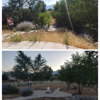 Minden Yard Care - Huge clean up of backyard. Defenseable space, weed removal. Tree trimming. Wood chipping. - Lawn Services Near Me Minden Yard Care - Huge clean up of backyard. Defenseable space, weed removal. Tree trimming. Wood chipping. - Lawn Services Near Me