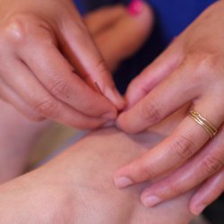 Eva Lu Acupuncture - Gentle, effective, and relaxing treatments to help you do what you love in life!