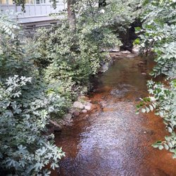 Waldhotel Am Ilsestein - Wintergarten direkt an der Ilse