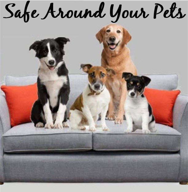 MOJILIFE WITH NELSON Home Decor Wappingers Falls, NY Phone