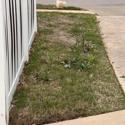 Emerald Lawns