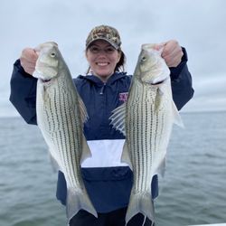 ATX Bass Guide