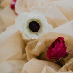 Toolbox Florals By Dijana