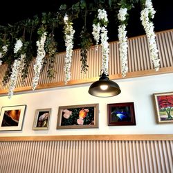 The Crepe Shoppe - I love the paintings on the wall.