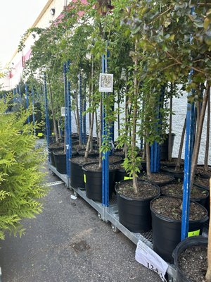 Costco Wholesale by null