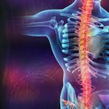 Elite Spine Group - Chiropractors Near Me - Miami, Florida Elite Spine Group - Chiropractors Near Me - Miami, Florida