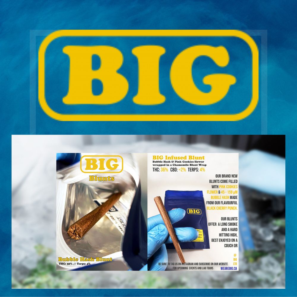 KANA LEAF CANNABIS Updated July 2024 32 Photos 2 Osprey Miikan