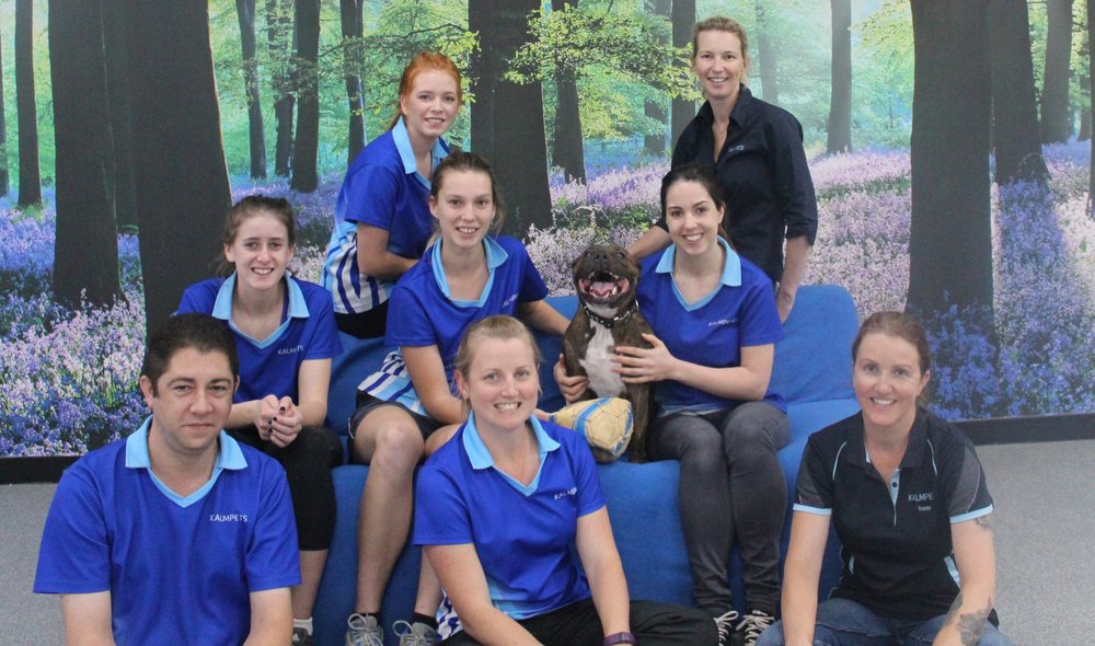 KALMPETS ANIMAL BEHAVIOUR CENTRE 26 Gibberd Rd, Balcatta Western