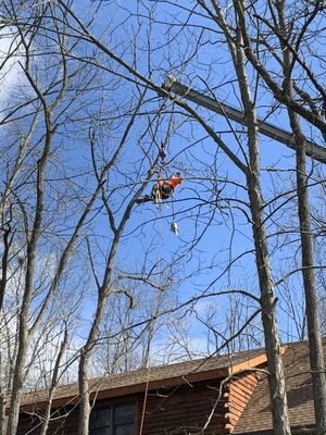 CLARK TREE SERVICE - Updated June 2026 - 56 Photos & 14 Reviews ...