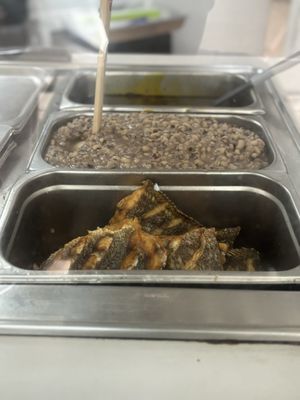 Nema Kitchen by null