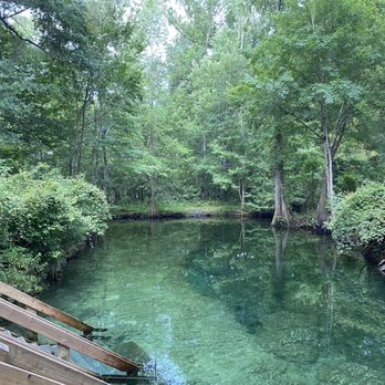 Ginnie Spring - Springs (the end is the run) - Rafting/Kayaking Near Me - High Springs, Florida