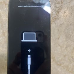 Apple Vintage Faire - This all you get when you update your 12 Pro.  Apple wants $500 to fix