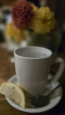 Treehouse Café by null