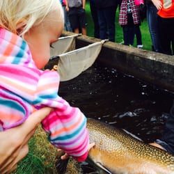 Brule Fish Hatchery - Getting to touch a large trout