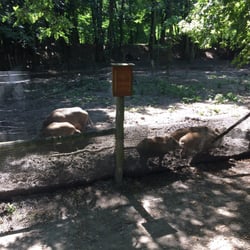 Wildpark