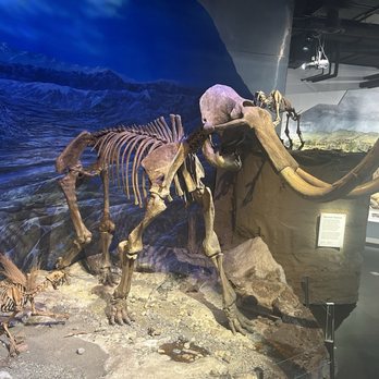 Royal Tyrrell Museum - Museums Near Me - Drumheller, Alberta Royal Tyrrell Museum - Museums Near Me - Drumheller, Alberta