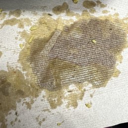 Oil from 1 scoop of fried rice Oil from 1 scoop of fried rice
