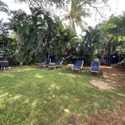 Back lawn