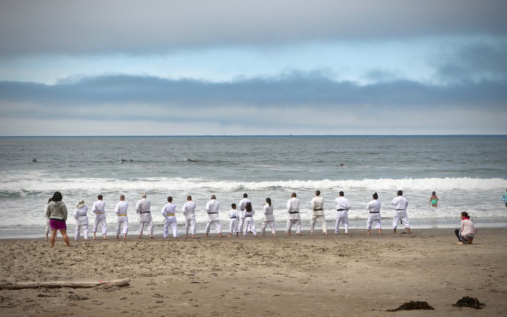 Shotokan Karate Academy Logo