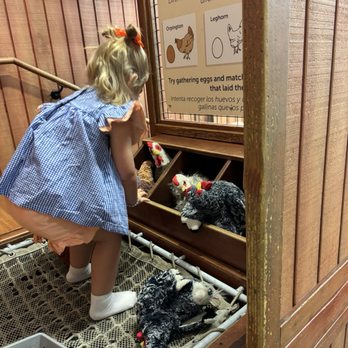 Thinkery - Kids Activities Near Me - Austin, Texas